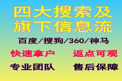 某企业通过SEO和SEM双管齐下实现业绩飞跃的案例